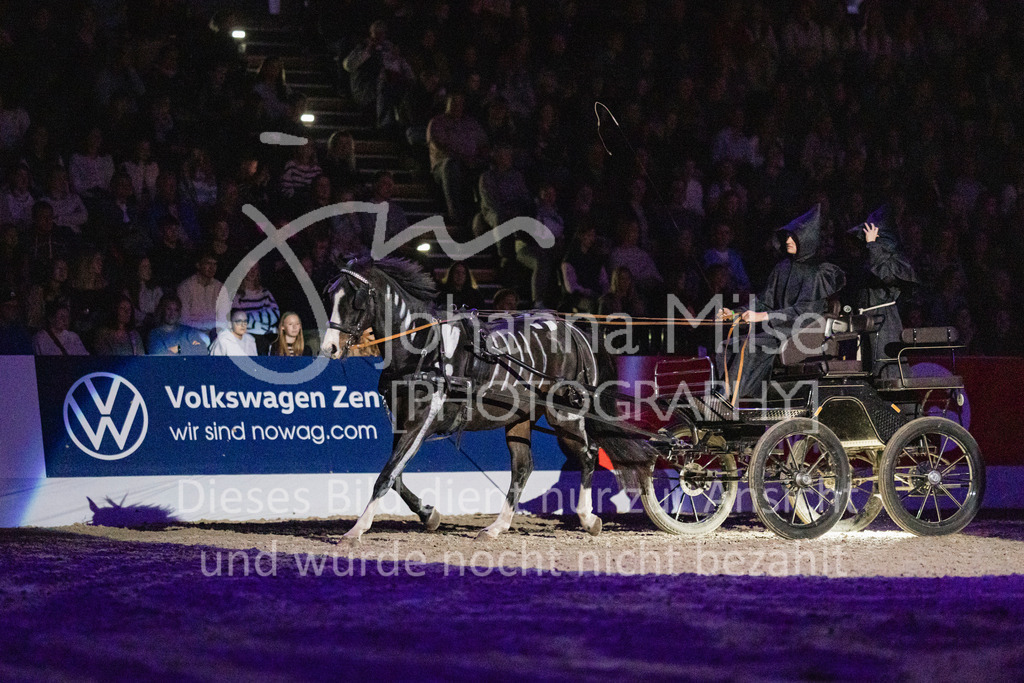 241102_Oldenburg_Show-303 | Deine schönsten Turniermomente als professionelle Fotos! Entdecke hochwertige Pferdesport-Fotografie im Online-Shop. Jetzt Fotos finden & bestellen!