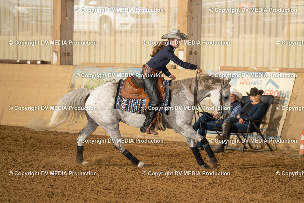 LAU01381 | dv-media-shop - Realisiert mit Pictrs.com