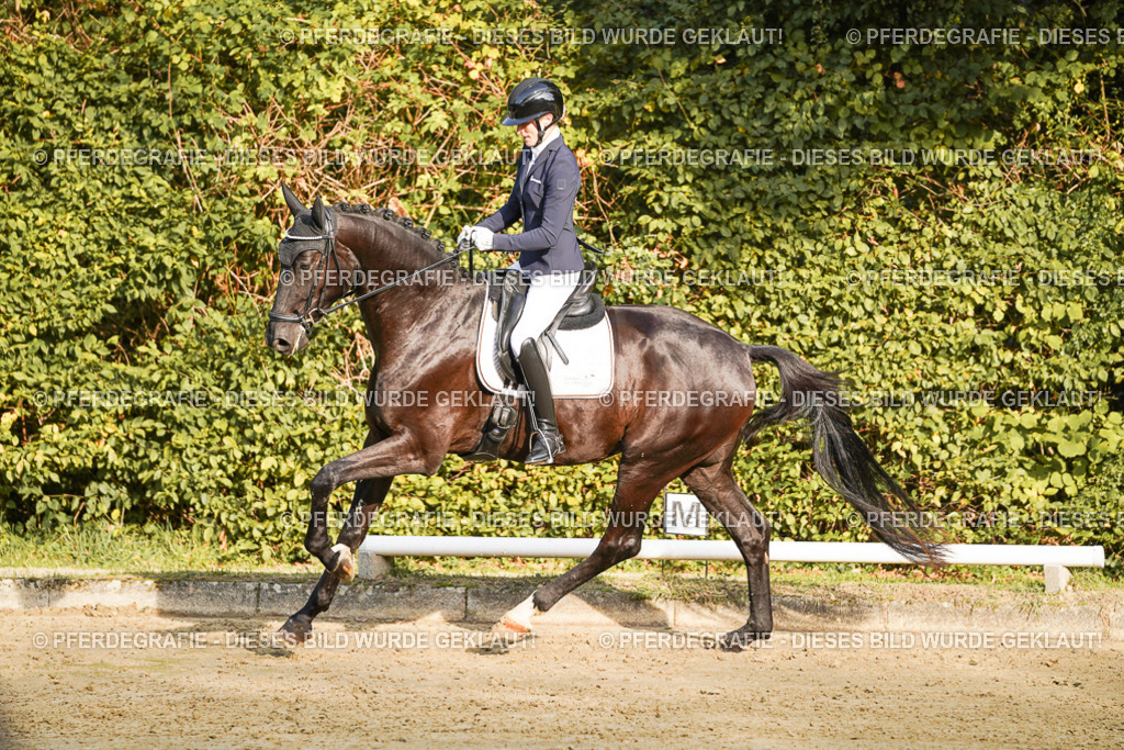 DSC04790 | Pferdegrafie