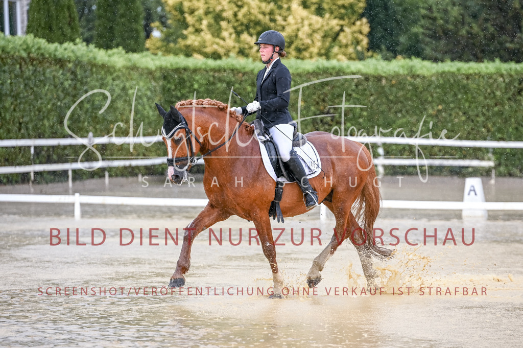 Schugtsche-Aluta25-54.Dressurprf.L1Trense-72 | Schugtsche Fotografie - Realisiert mit Pictrs.com