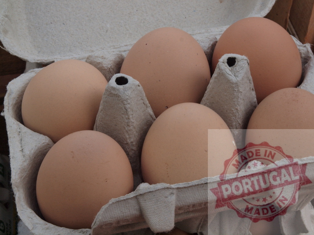 Brown chicken eggs in cardboard carton | Fresh brown eggs in a carton, representing healthy breakfast ingredients and wholesome food - Realized with Pictrs.com