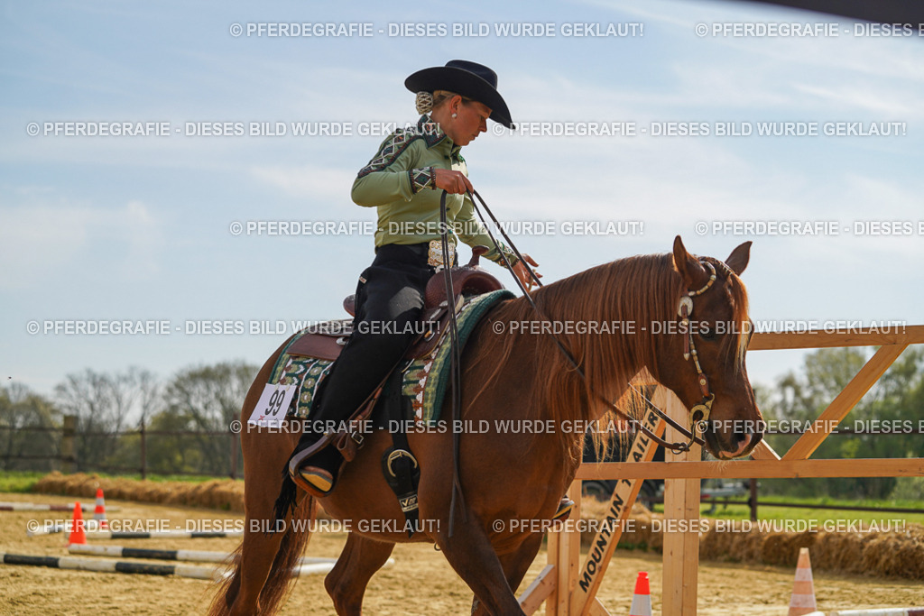 DSC01782 | Pferdegrafie