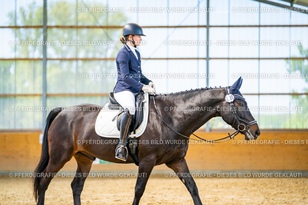 DSC08568 | Pferdegrafie