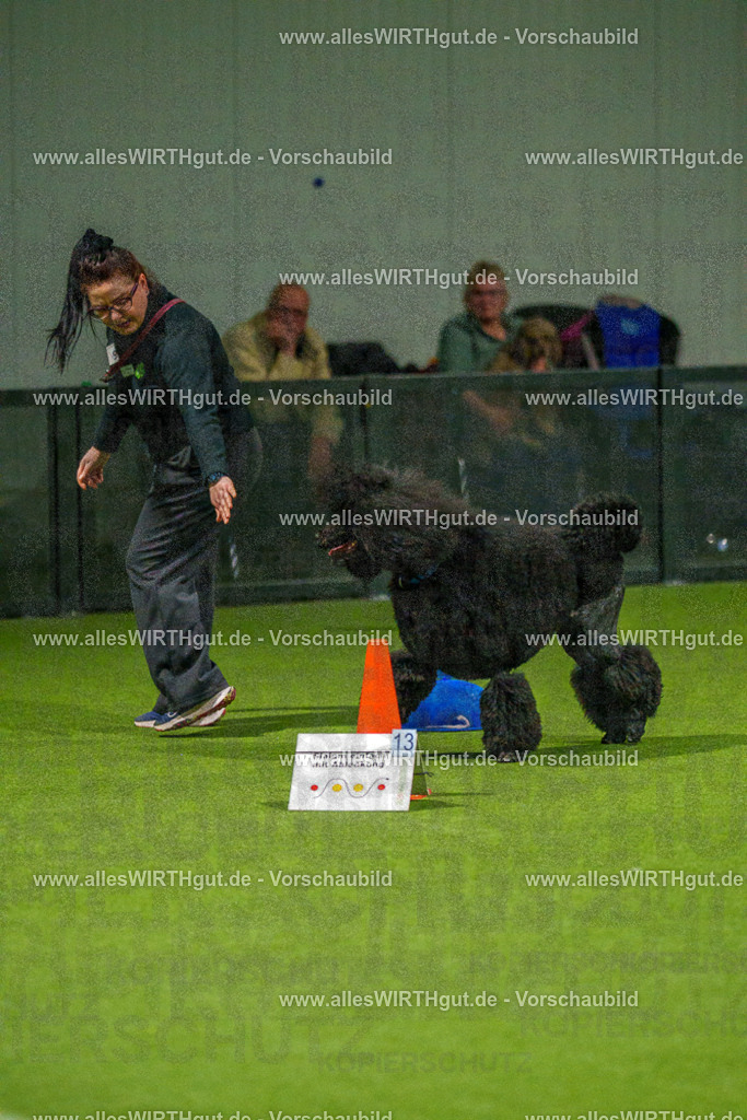 7R508776 | Professionelle Tierfotografie in Mönchengladbach von Daniel Wirth (allesWIRTHgut). Liebevolle & natürliche Bilder von Hunden & Katzen für unvergessliche Erinnerungen.