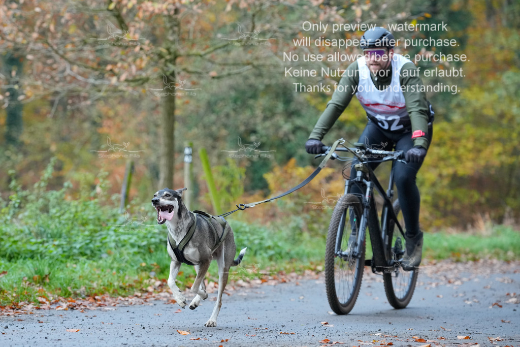 Bike_So-137 | stephaniefillaphotographie - Realisiert mit Pictrs.com