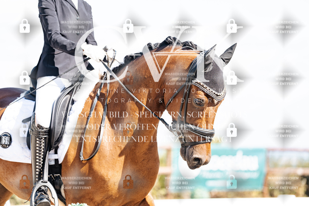 CK902703 | Turnierfotografie Pferdefotografie Trier Rheinland-Pfalz Pferdesport Reitsport Tierfotografie Sportfotografie Pferdevideo Pferdevideografie Equestrianvideography equestrianphotography  - Realisiert mit Pictrs.com