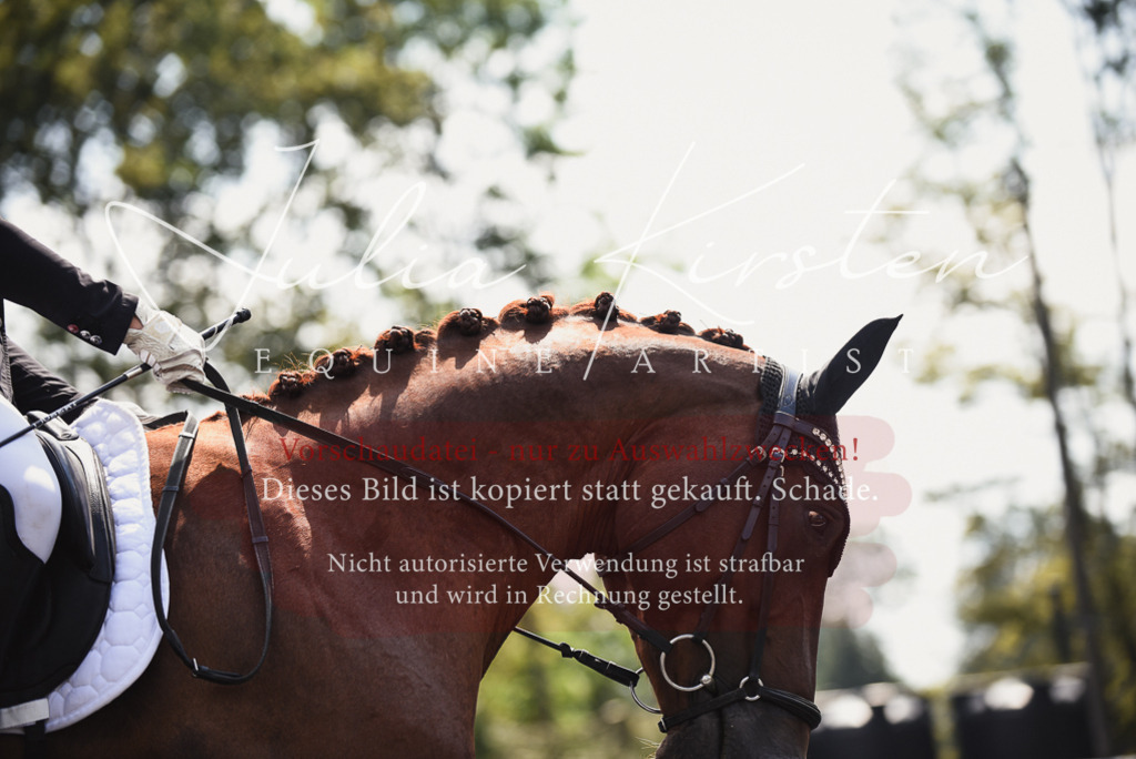 DSC_4200 | Pferde- und Turnierfotografie in Westsachsen. Pferdeportraits, Auftragszeichnungen und intuitive Kunst.