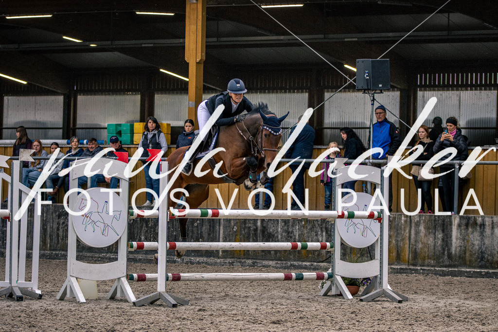 IMG_6076 | Erleben Sie dynamische Sport- und emotionale Tierfotografie in Süddeutschland mit Fotos von Paula. Spezialisiert auf Pferde- und Hundefotografie sowie Sportevents. Kontaktieren Sie mich für einzigartige und ausdrucksstarke Bilder Ihrer besonderen Momente.