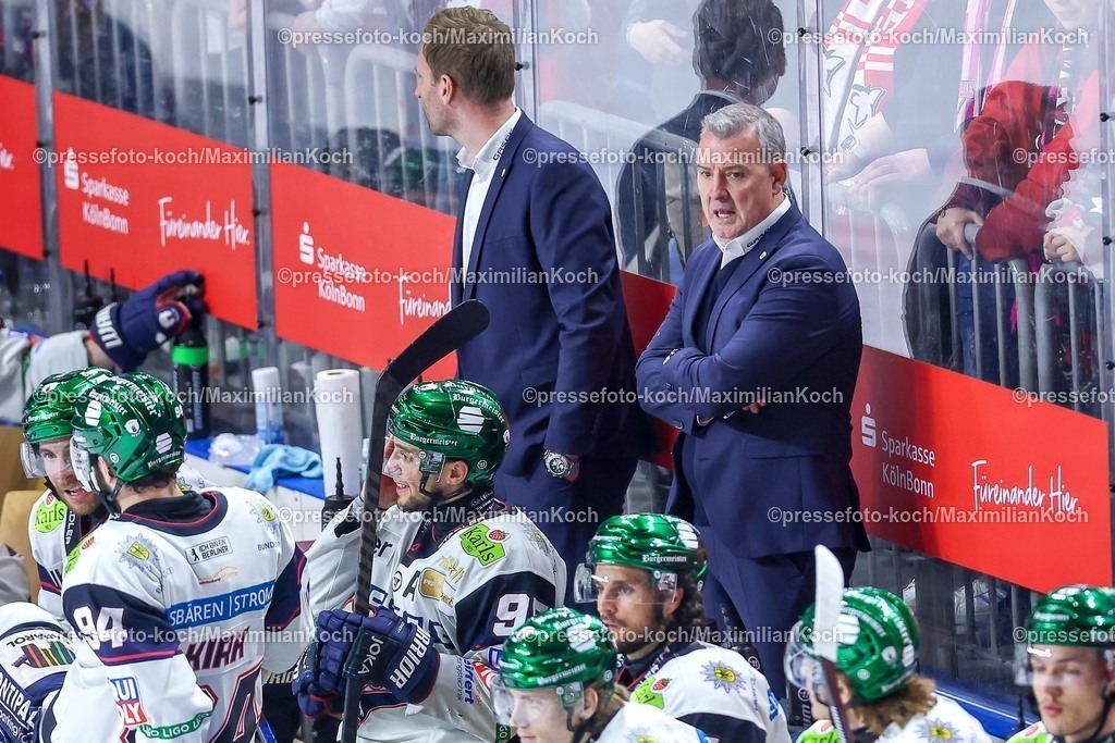 KEC20042601091 | 20.04.2026, Eishockey, DEL Halbfinale Play-Offs, Kölner Haie - Eisbären Berlin, Spiel 6, Lanxess-Arena Köln: Cheftrainer Serge Aubin (Eisbären Berlin #hc) gestikulierend am Spielfeldrand 