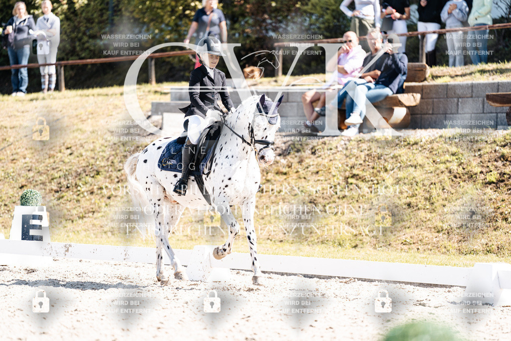 CK904169 | Turnierfotografie Pferdefotografie Trier Rheinland-Pfalz Pferdesport Reitsport Tierfotografie Sportfotografie Pferdevideo Pferdevideografie Equestrianvideography equestrianphotography  - Realisiert mit Pictrs.com