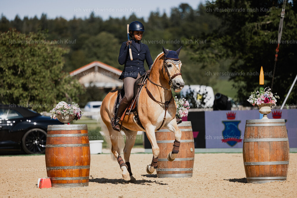 Tanesha5FHC2025-27413 | working equitationturnier fotograf videograf stoibphotography marixx film working equitation deutschland reitsport turnierfotografie eventfotografie equestrian events