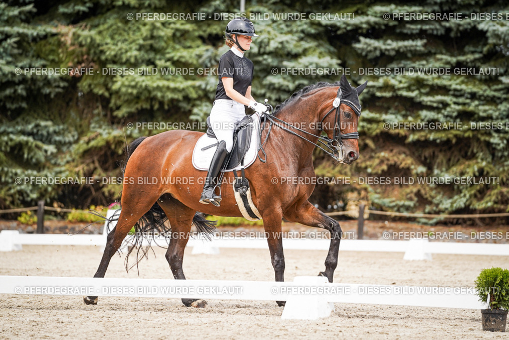 DSC06055 | Pferdegrafie