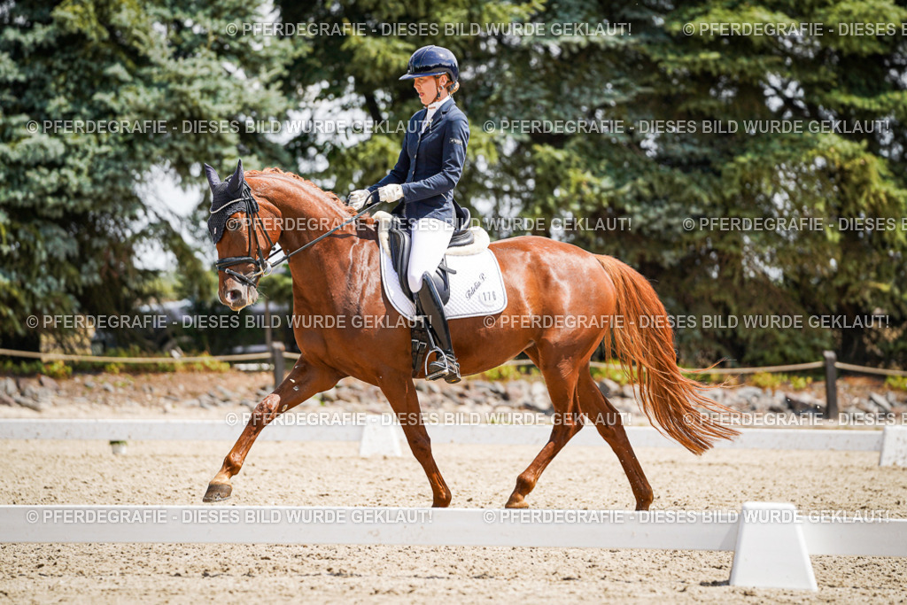 DSC01027 | Pferdegrafie