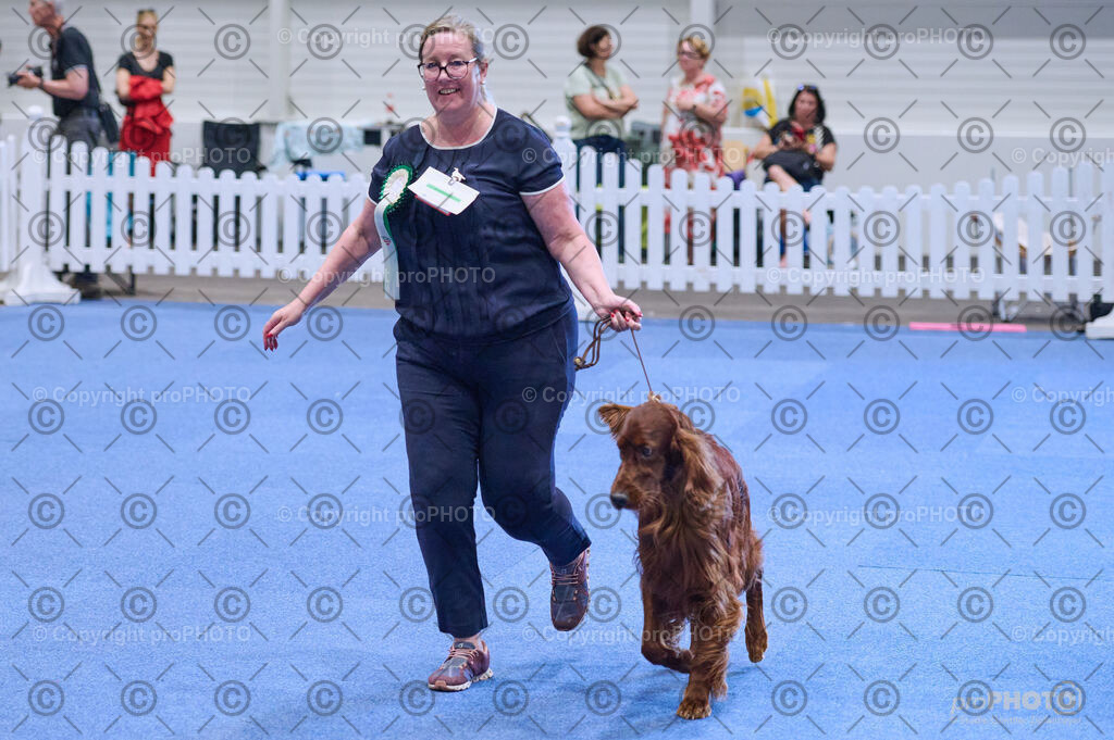 202406_ÖKV-IHA-Tulln24_DSC_4140 | proPHOTO - Realisiert mit Pictrs.com