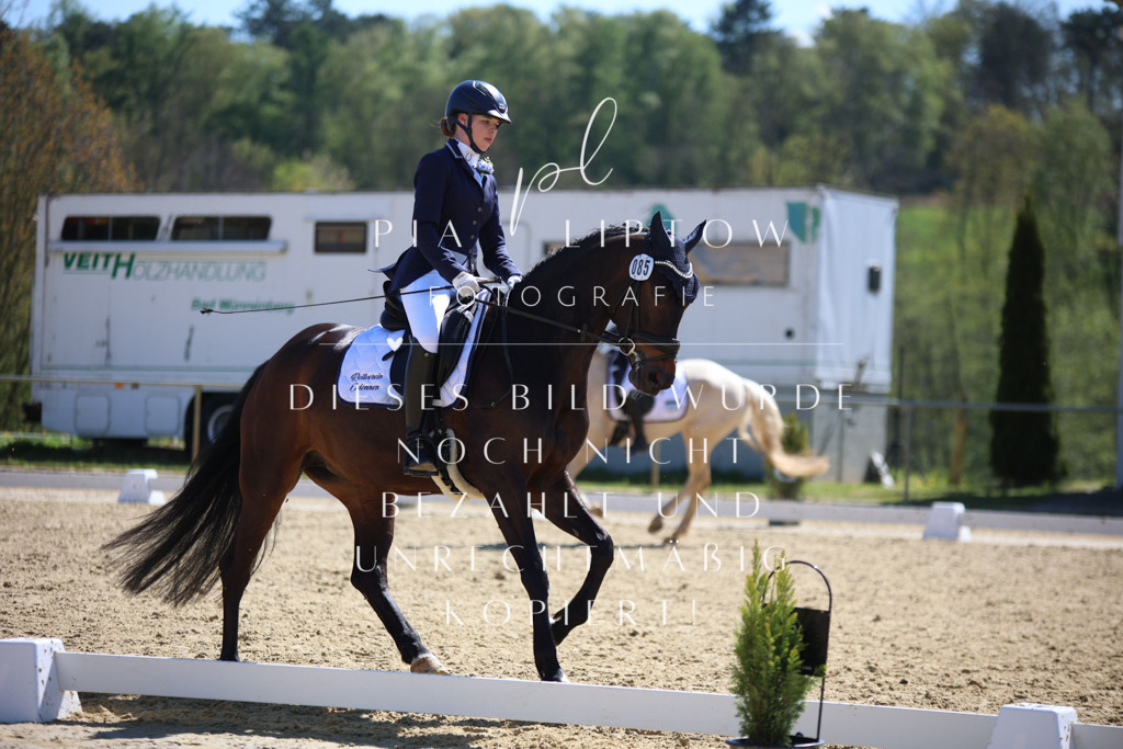 IMGT1287 | pl-fotografie