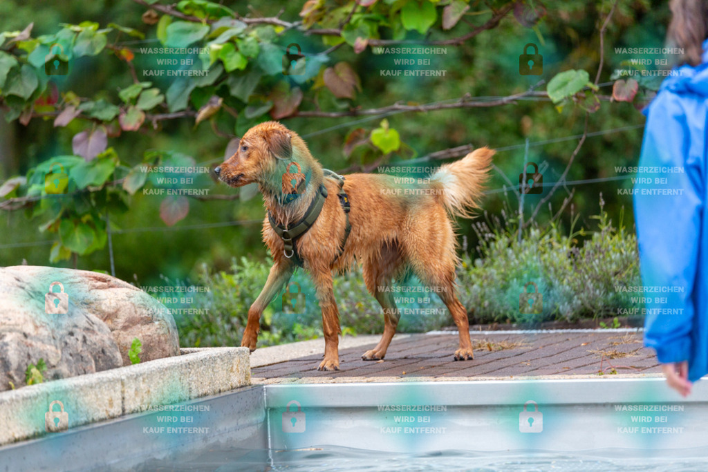 _HP_6201_1000o | HetPix, HetPix Fotodesign, Fotografie, Fotodesign, Webshop, Sportfotografie, Portraitfotografie, Onlineshop, Sportfotografie, Polch, Motorsportfotografie, Eventfotografie