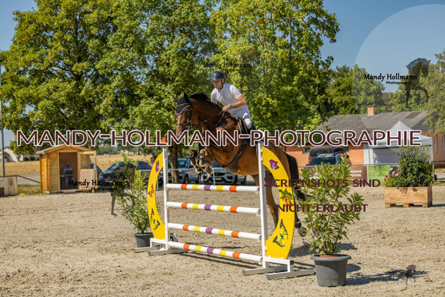 26-7-24 SPF M+-683 | mandyhollmannphotographie