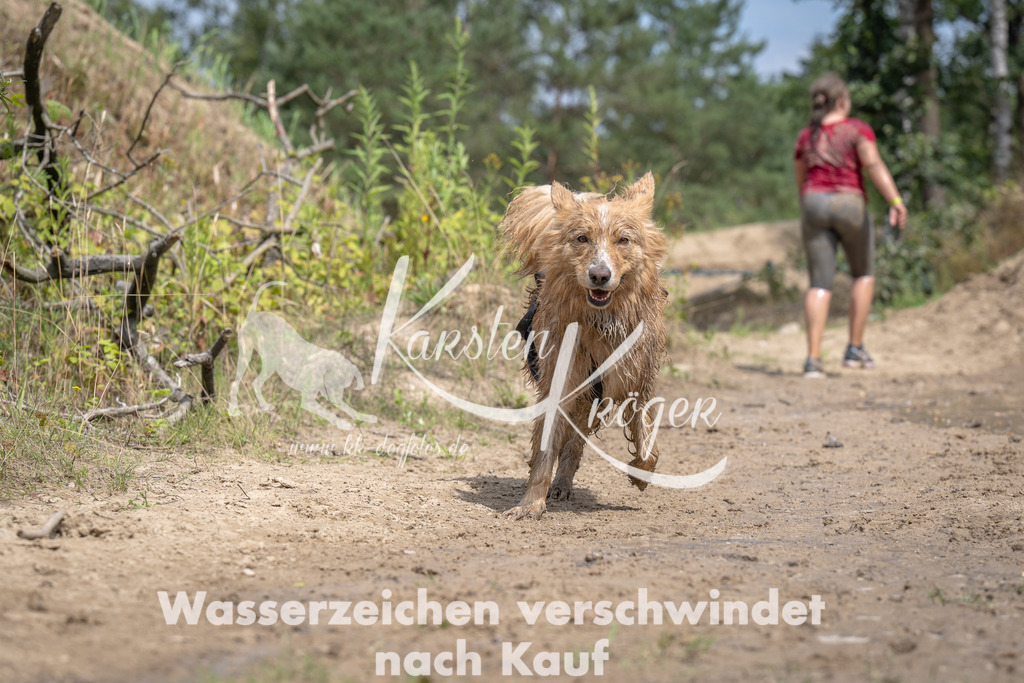 1251_ZZ94434 | kk-dogfotos