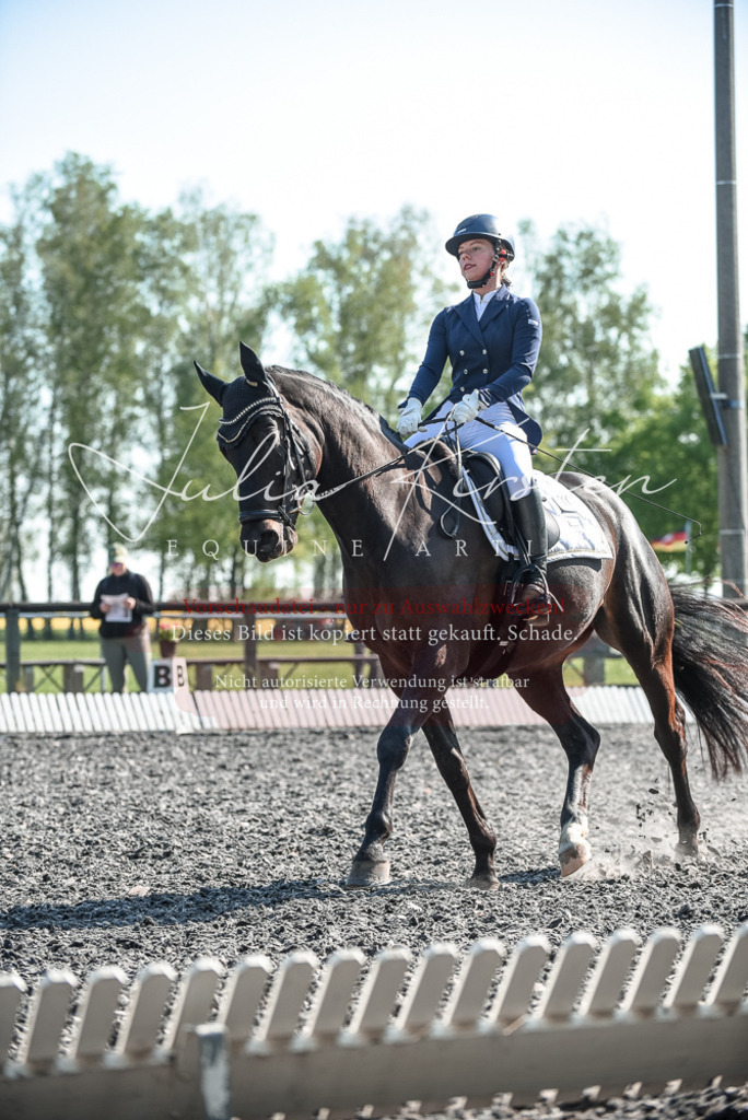 DSC_8567 | Pferde- und Turnierfotografie in Westsachsen. Pferdeportraits, Auftragszeichnungen und intuitive Kunst.