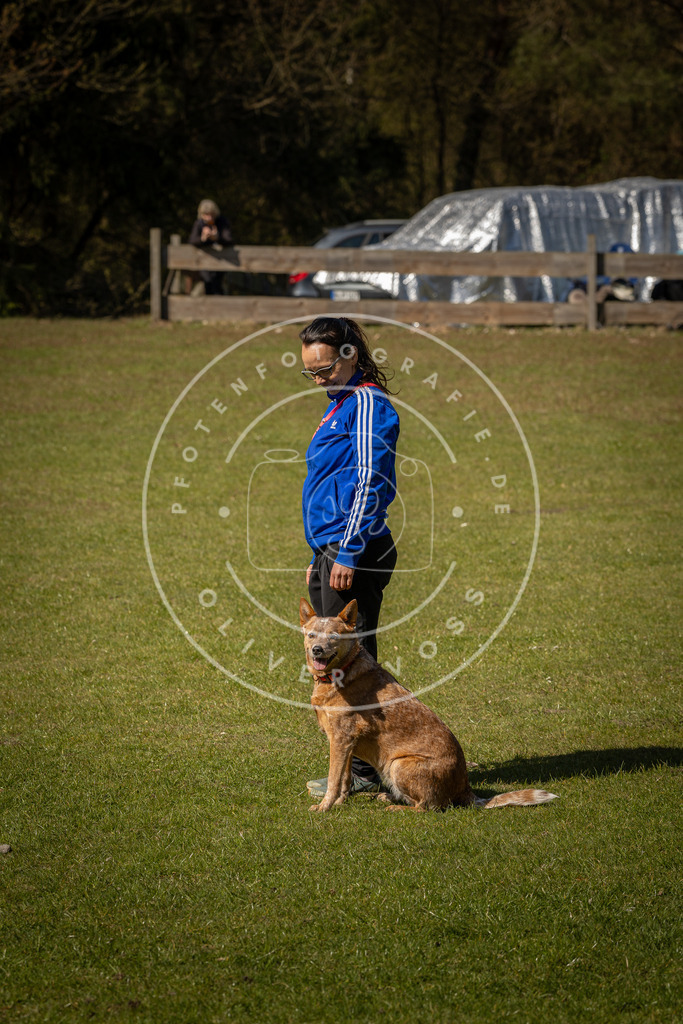 Pfotenfotografie_DV3A0848 | Hundefotografie, Tierfotograf, Pfotenfotografie, Fotoshooting Hund, Hunde Portrait, Hundesport, Hundeportraits, Heideshooting, Hunde, Sportfotograf, Hundefotograf, Turnierhundsport, THS,  - Realisiert mit Pictrs.com