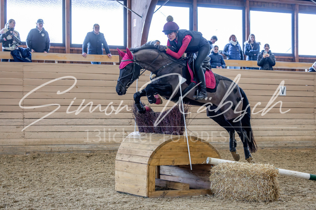 20260222-_3LI2424 | Tierfotografie Pferde, Hunde, Katzen, Haustiere.
Turnierfotografie Reitturniere, Reiten, Springreiten, Dressur in Hanau, dem Main-Kinzig-Kreis und dem Rhein-Main- Gebiet um Frankfurt