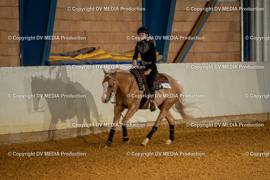 MIT00846 | dv-media-shop - Realisiert mit Pictrs.com