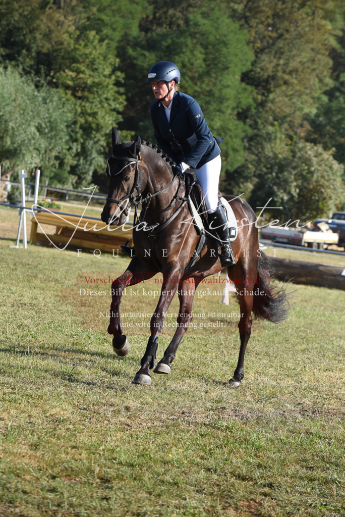 DSC_5182 | Pferde- und Turnierfotografie in Westsachsen. Pferdeportraits, Auftragszeichnungen und intuitive Kunst.