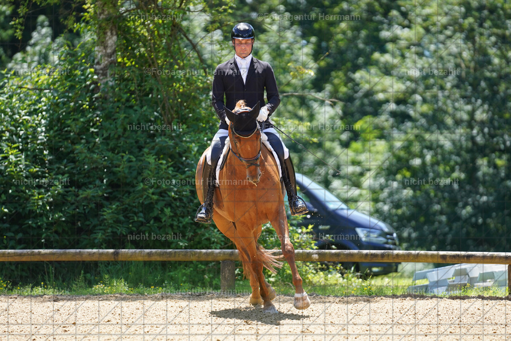 20240705-FAH03563 | Turnierbilder von Grafing, Reitsportbilder, Turnierfotos, Turnierfotografen Bayern, Pferdefotograf, Fotoagentur Herrmann