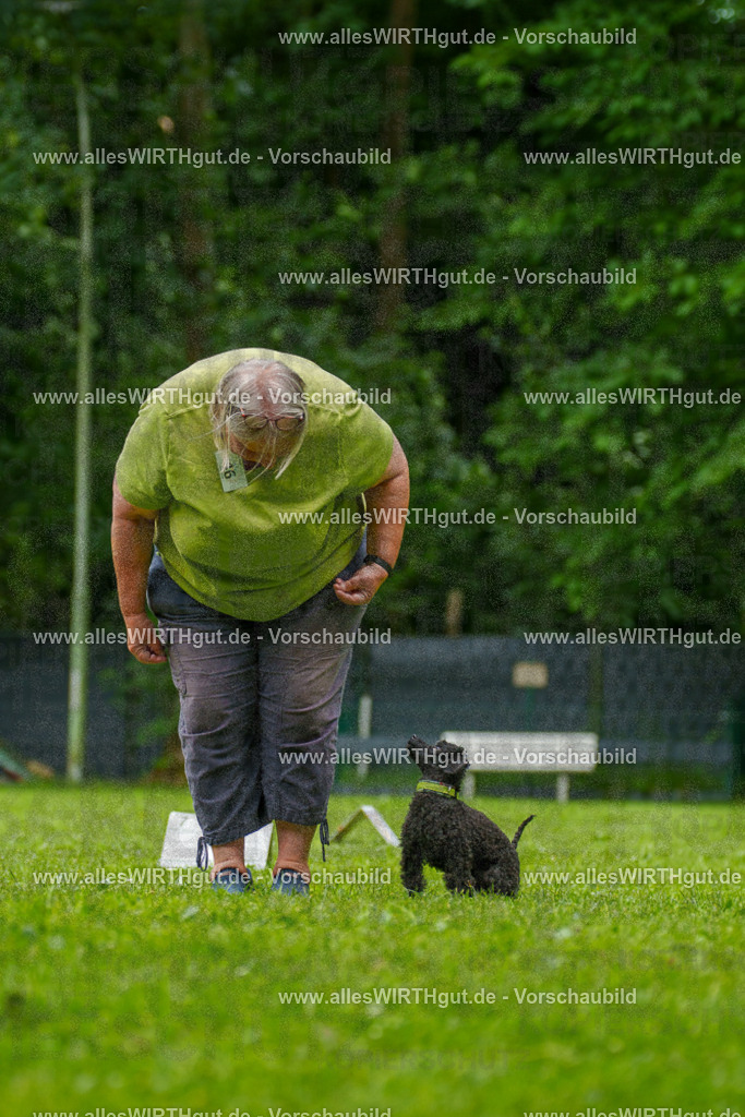@allesWIRTHgut_Tierfotografie - www.allesWIRTHgut.de - 7R500425 | Professionelle Tierfotografie in Mönchengladbach von Daniel Wirth (allesWIRTHgut). Liebevolle & natürliche Bilder von Hunden & Katzen für unvergessliche Erinnerungen.