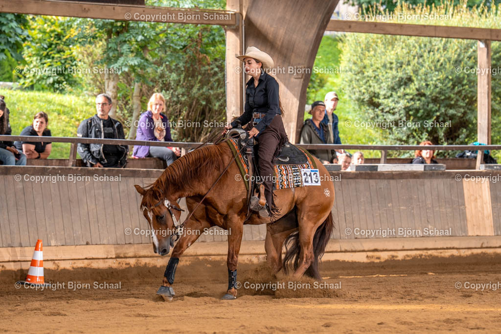 LMS03781 | BS-foto