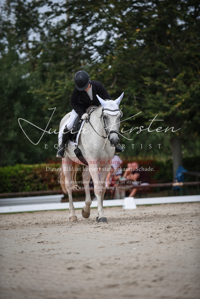 DSC_8516 | Pferde- und Turnierfotografie in Westsachsen. Pferdeportraits, Auftragszeichnungen und intuitive Kunst.