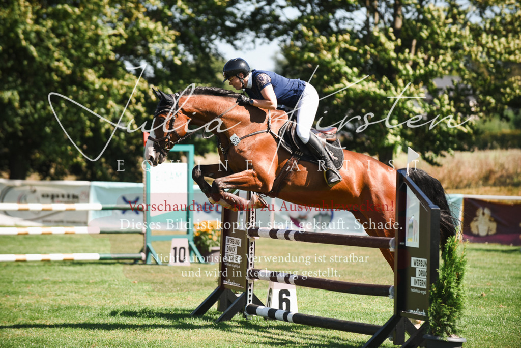 DSC_2798 | Pferde- und Turnierfotografie in Westsachsen. Pferdeportraits, Auftragszeichnungen und intuitive Kunst.