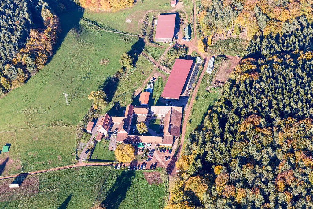 Luftbild: Bio-Gasthof Bärenbrunnerhof in Oberschlettenbach im Bundesland Rheinland-Pfalz in Deutschland. Foto: IMG_104018.jpg vom 14.10.2017 durch Werner Riehm/FLY-FOTO.de