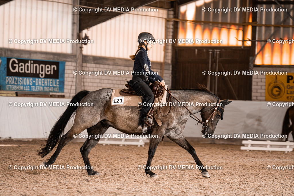 ZH100190 | dv-media-shop - Realisiert mit Pictrs.com