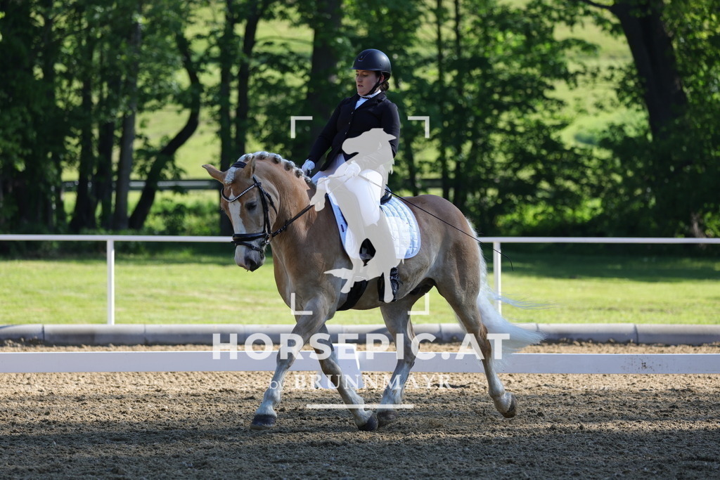 0P6A9349 | Willkommen bei Brunnmayr - Design & Fotografie – Ihrem Spezialisten für Reitturniere und Pferdeveranstaltungen in Oberösterreich, Salzburg und Bayern! Seit über 17 Jahren sind wir leidenschaftlich dabei.