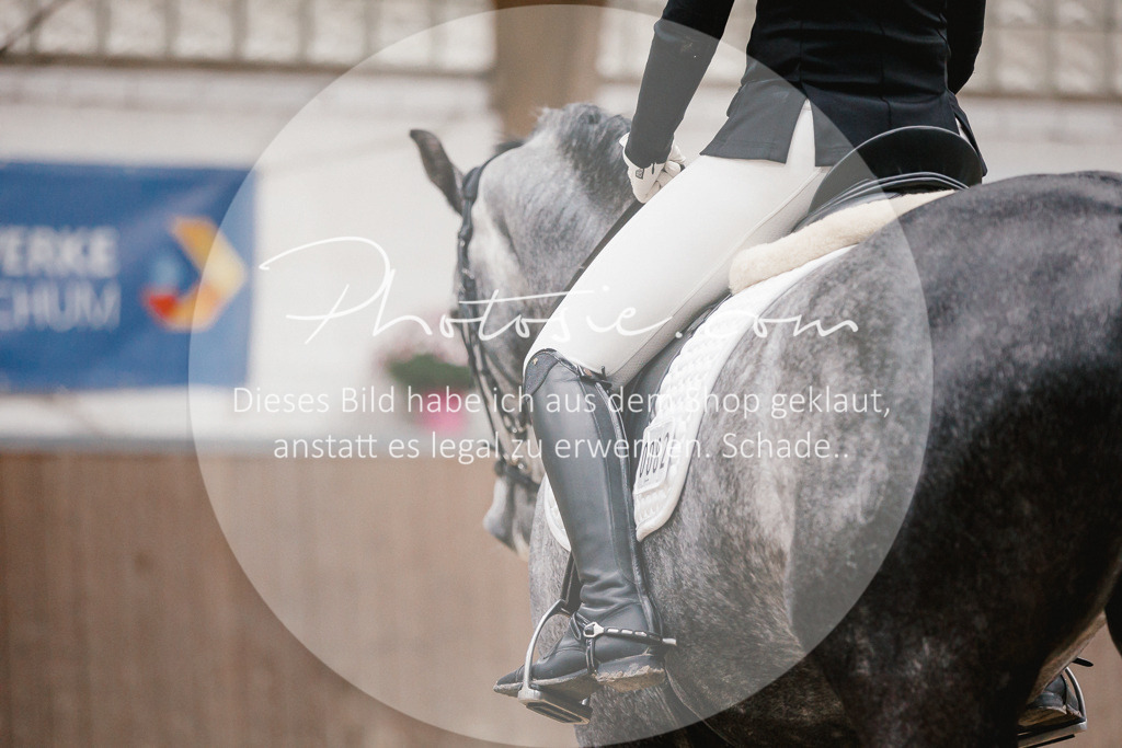 3I6A6076 | Stimmungsvolle Portraits und Reitsportfotografie im Ruhrgebiet und im Münsterland.

Pferdefotografie, Hundefotografie, Tierfotografie, Reportagen, Portraits von Tier und Mensch, Turnierfotografie in Bochum, Recklinghausen, Marl, Haltern am See, Dülmen.. - Realisiert mit Pictrs.com