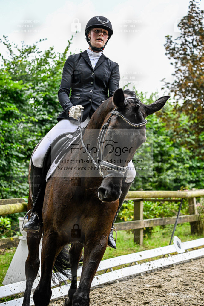 Bissendorfer Reitertage | Entdecke hochwertige Reitturnierfotos von Foto Oger. Professionell, emotional und authentisch – jetzt Lieblingsmomente im Shop bestellen. - Realisiert mit Pictrs.com