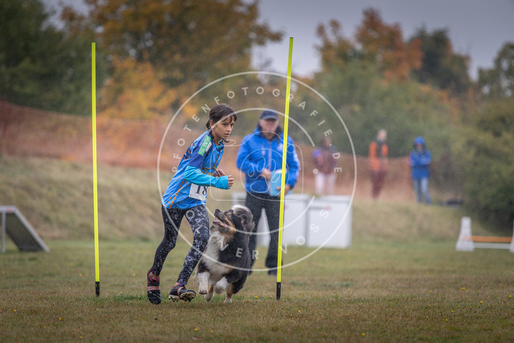 Pfotenfotografie_DV3A0012 | Hundefotografie, Tierfotograf, Pfotenfotografie, Fotoshooting Hund, Hunde Portrait, Hundesport, Hundeportraits, Heideshooting, Hunde, Sportfotograf, Hundefotograf, Turnierhundsport, THS,  - Realisiert mit Pictrs.com