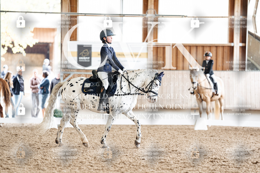 CK909966 | Turnierfotografie Pferdefotografie Trier Rheinland-Pfalz Pferdesport Reitsport Tierfotografie Sportfotografie Pferdevideo Pferdevideografie Equestrianvideography equestrianphotography  - Realisiert mit Pictrs.com