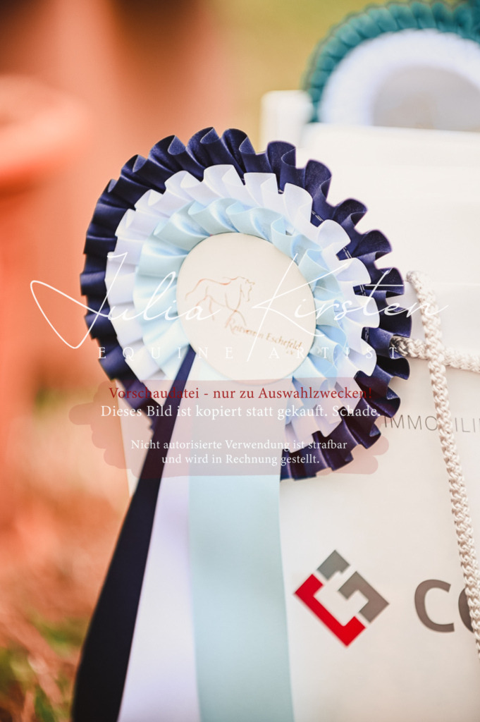 DSC_5387 | Pferde- und Turnierfotografie in Westsachsen. Pferdeportraits, Auftragszeichnungen und intuitive Kunst.