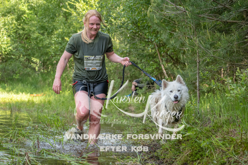 0951DKK9_ZZ93633 | kk-dogfotos