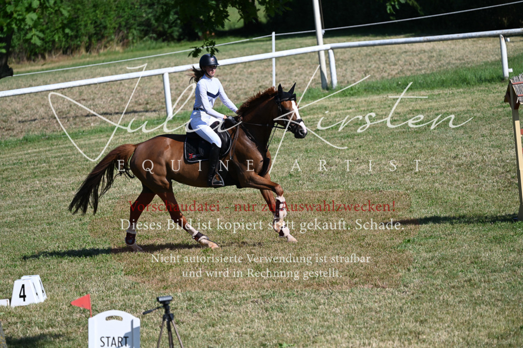 DSC_2283 | Pferde- und Turnierfotografie in Westsachsen. Pferdeportraits, Auftragszeichnungen und intuitive Kunst.