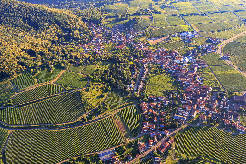 Luftbild: Weinberge beim Weingut Sankt Annaberg in Burrweiler im Bundesland Rheinland-Pfalz in Deutschland. – Foto: IMG_091619.jpg vom 10.07.2016 durch Werner Riehm/FLY-FOTO.de – Auflösung des Originals: 5472 x 3648 px – auf dem Weingut Sankt Annaberg