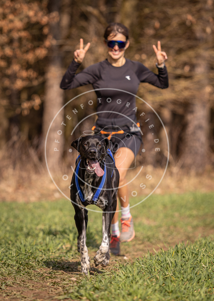 DV3A6369 | Hundefotografie, Tierfotograf, Pfotenfotografie, Fotoshooting Hund, Hunde Portrait, Hundesport, Hundeportraits, Heideshooting, Hunde, Sportfotograf, Hundefotograf, Turnierhundsport, THS,  - Realisiert mit Pictrs.com