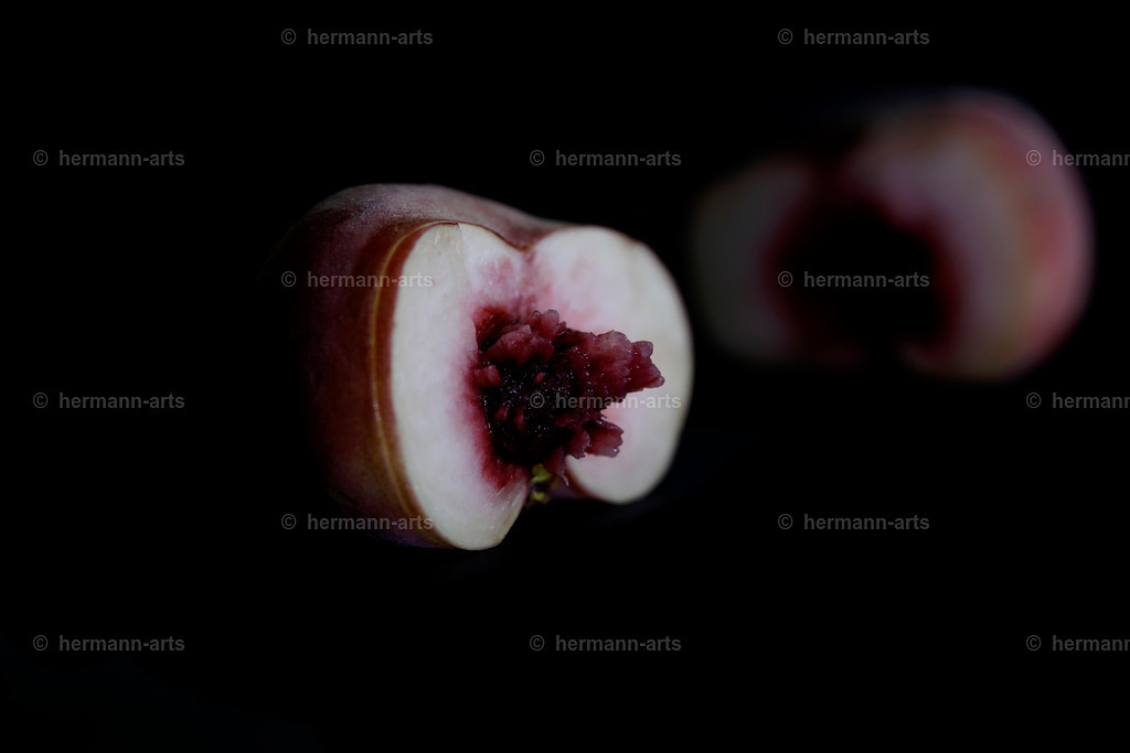 Fruits-Art-033 | Photo Foto Kunst Art schwarzweiss Bilder Rheine Münster Berlin Blumen 