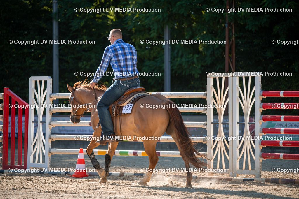 EWP_7049 | dv-media-shop - Realisiert mit Pictrs.com