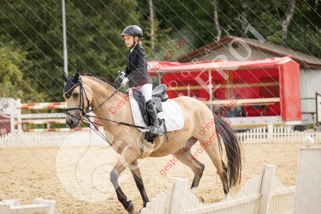 CON_0267 | Sport-, Event- und Tierfotos in Profiqualität. Einfach auswählen, bestellen und herunterladen. Dein Moment – perfekt festgehalten.