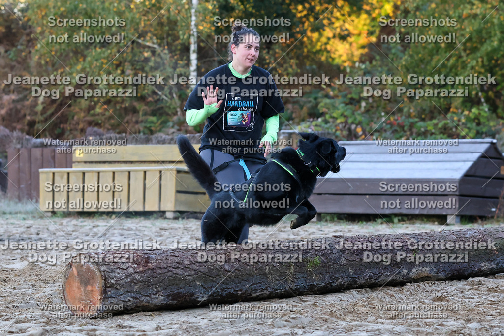 Dog Paparazzi - Strongdog 10-25-215 | Dog Paparazzi Jeanette Grottendiek Fotografie & Videografie - Realisiert mit Pictrs.com