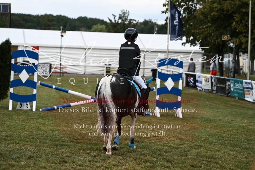 DSC_5484 | Pferde- und Turnierfotografie in Westsachsen. Pferdeportraits, Auftragszeichnungen und intuitive Kunst.