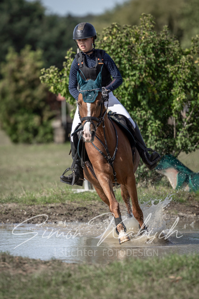 20250907-_3LI9586 | Tierfotografie Pferde, Hunde, Katzen, Haustiere.
Turnierfotografie Reitturniere, Reiten, Springreiten, Dressur in Hanau, dem Main-Kinzig-Kreis und dem Rhein-Main- Gebiet um Frankfurt